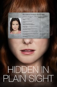 Hidden in Plain Sight' Poster