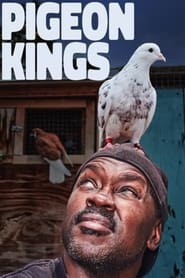 Pigeon Kings' Poster
