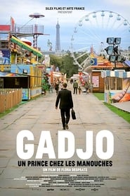 Gadjo' Poster