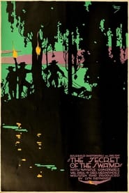 The Secret of the Swamp' Poster