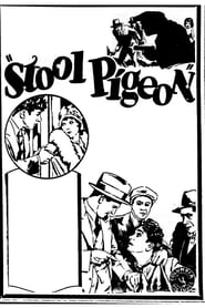 Stool Pigeon' Poster