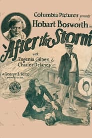After the Storm' Poster