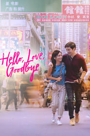 Hello Love Goodbye' Poster