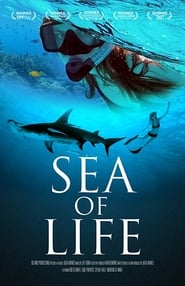 Sea Of Life' Poster