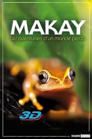 Madagascar The Lost Makay' Poster
