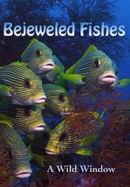 Wild Window Bejeweled Fishes' Poster