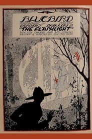 The Flashlight' Poster