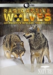 Radioactive Wolves Chernobyls Nuclear Wilderness' Poster