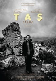 The Stone' Poster