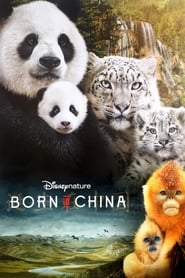 Streaming sources forBorn in China