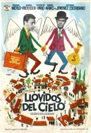 Llovidos del cielo' Poster