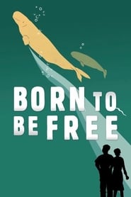 Born to Be Free' Poster