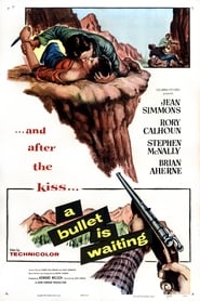 A Bullet Is Waiting' Poster