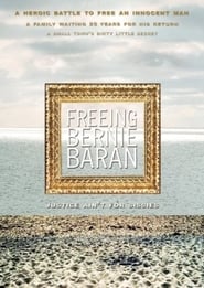 Freeing Bernie Baran' Poster