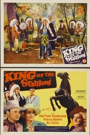 King of the Stallions' Poster