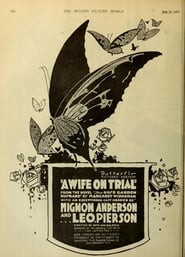 A Wife on Trial' Poster