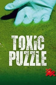 Toxic Puzzle' Poster