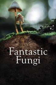 Fantastic Fungi' Poster