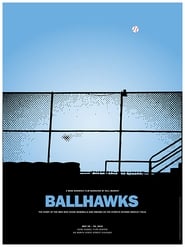 Ballhawks' Poster