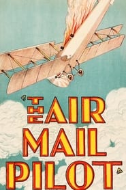 The Air Mail Pilot' Poster