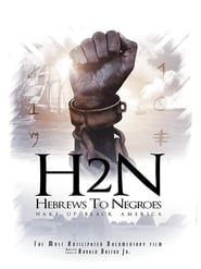 Hebrews to Negroes Wake Up Black America' Poster