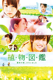 Evergreen Love' Poster