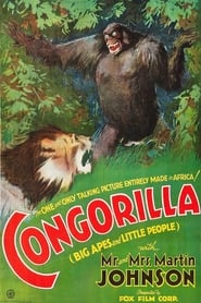 Congorilla' Poster