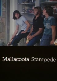 Mallacoota Stampede