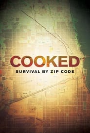 Cooked Survival by Zip Code' Poster