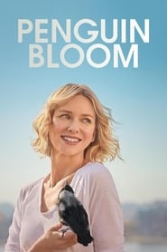 Penguin Bloom' Poster