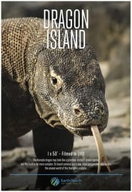 Dragon Island' Poster