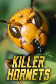 Killer Hornets' Poster