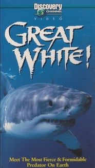 Great White Meet The Most Fierce  Formidable Predator On Earth' Poster