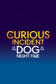 The Curious Incident of the Dog in the NightTime' Poster