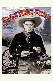 Fighting Fury' Poster