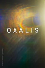 Oxalis' Poster