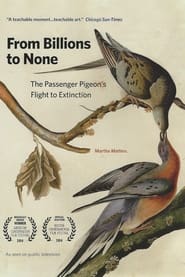 From Billions to None The Passenger Pigeons Flight to Extinction' Poster