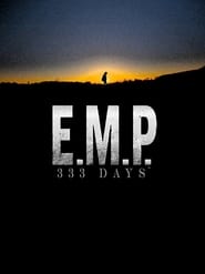 EMP 333 Days' Poster