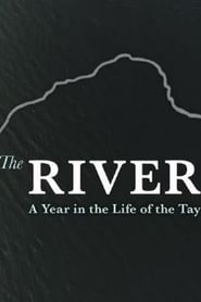 The River A Year in the Life of the Tay' Poster