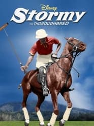 Stormy the Thoroughbred' Poster