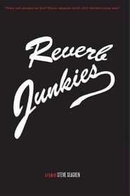Reverb Junkies' Poster