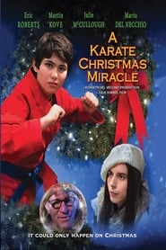 A Karate Christmas Miracle' Poster