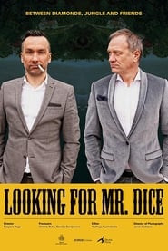Looking for Mr Dice' Poster