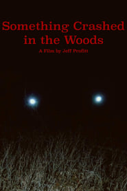 Something Crashed in the Woods' Poster