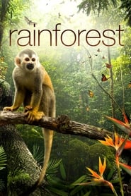 Secret Life of the Rainforest' Poster