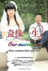 Lesbians Marry Gay Men Our Marriages' Poster