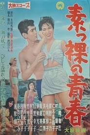 The Women Divers' Poster