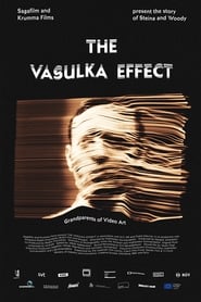 The Vasulka Effect' Poster