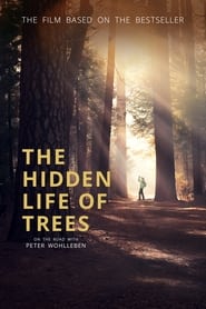 The Hidden Life of Trees' Poster