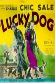 Lucky Dog' Poster